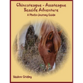 Chincoteague-Assateague Seaside Adventure: A Photo-Journey Guide