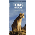 Texas Wildlife: An Introduction to Familiar Species