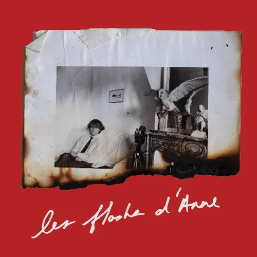 Anne Day: Les Flashes d'Anne: Friendship Among the Ashes with Hervé Guibert