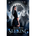 Shadow Seeking: An Urban Fantasy Adventure