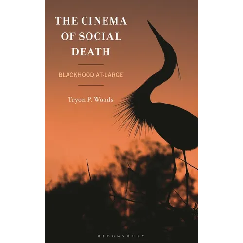 The Cinema of Social Death: Blackhood At-Large