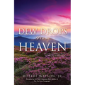 DEW DROPS From HEAVEN: Discovering God's Refreshment In The Wilderness Of Incarceration