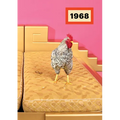1968: Radical Italian Design: Photographs by Maurizio Cattelan & Pieropaolo Ferrari