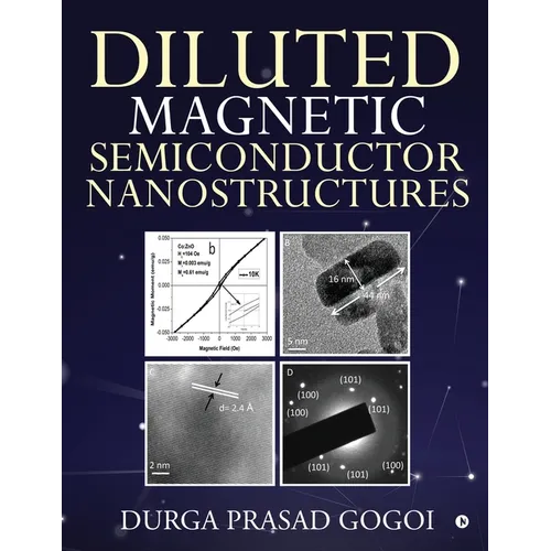 Diluted Magnetic Semiconductor Nanostructures