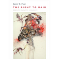 The Right to Maim: Debility, Capacity, Disability