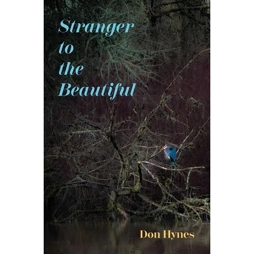 Stranger to the Beautiful