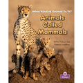 Animals Called Mammals