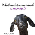 What Makes a Mammal a Mammal?