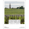 Vineyard of Saint-Émilion: A Terroir of Humanity
