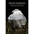 Bright Darkness