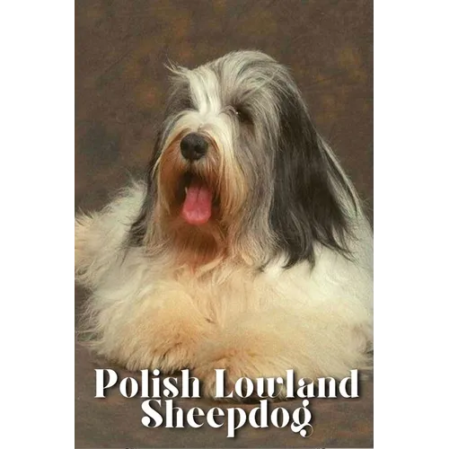 Polish Lowland Sheepdog: Dog breed overview and guide