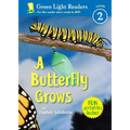A Butterfly Grows