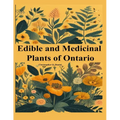 Edible and Medicinal Plants of Ontario: Newbie to Expert to Identify Wild Edibles of Ontario