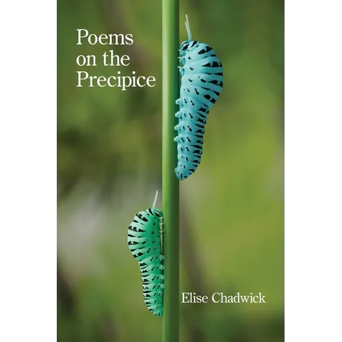 Poems on the Precipice