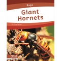 Giant Hornets