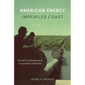 American Energy, Imperiled Coast: Oil and Gas Development in Louisiana's Wetlands