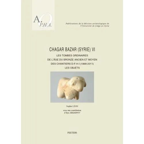 Chagar Bazar (Syrie) VI: Les Tombes Ordinaires de l'Age Du Bronze Ancien Et Moyen Des Chantiers D-F-H-I (1999-2011): Les Objets