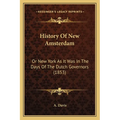 History Of New Amsterdam: Or New York As It Was In The Days Of The Dutch Governors (1853)