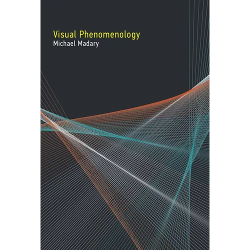 Visual Phenomenology