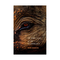 In the Eye of the Elephant