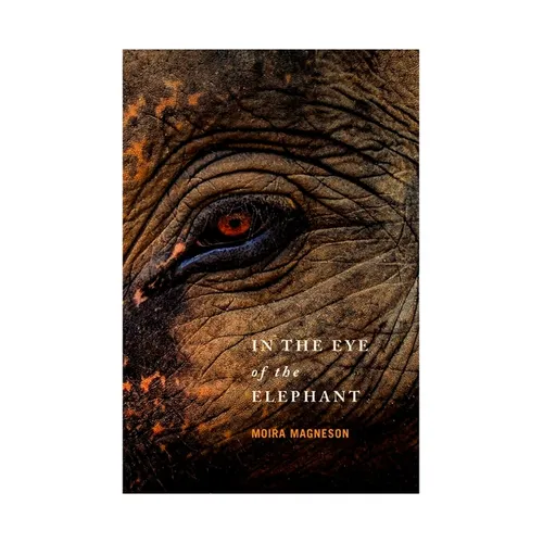 In the Eye of the Elephant