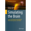 Simulating the Brain: A Four-Step Method Using Ordinary Differential Equations and Python