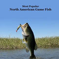 Most Popular North American Game Fish Species Kids Book: Great Book for Children of All Ages About the North American Game Fish Species
