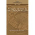 A Social History of the American Negro