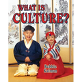 What Is Culture?