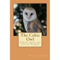 The Celtic Owl: A Year with the Celtic Faerie