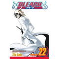 Bleach, Vol. 22