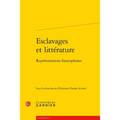 Esclavages Et Litterature: Representations Francophones
