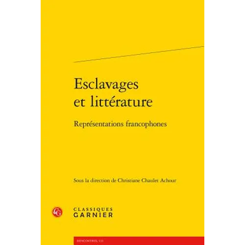 Esclavages Et Litterature: Representations Francophones