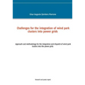 Challenges for the integration of wind park clusters into power grids: Approach and methodology for the integration and dispatch of wind park clusters