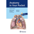 Anatomy in Your Pocket