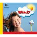 Eye on the Sky: Windy