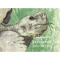 Galápagos Sketchbook