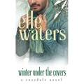Winter Under the Covers: A Small Town MM Secret Relationship Romance