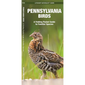 Pennsylvania Birds: A Folding Pocket Guide to Familiar Species