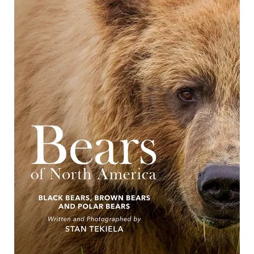 Bears of North America: Black Bears, Brown Bears, and Polar Bears