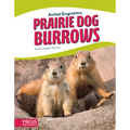 Prairie Dog Burrows