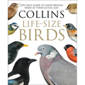 Collins Life-Size Birds: The Only Guide to Show British Birds at Their Actual Size