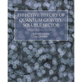 Effective Theory of Quantum Gravity: Soluble Sector