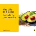 The Life of a Seed / La vida de una semilla