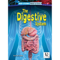 The Digestive System