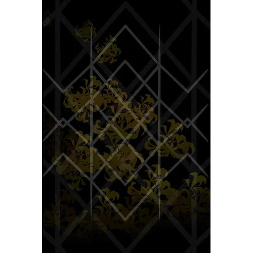 ᚱᚢᚾᛖᛋ? Runes.: Author Liagis Margfirar, Edited by Laurie Asra Sottilaro, Foreword by Travis Wells