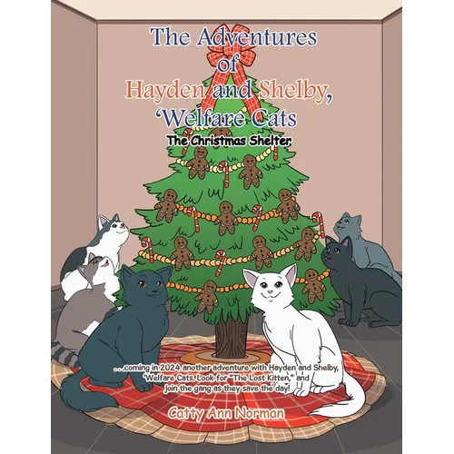 The Adventures of Hayden and Shelby, 'Welfare Cats: The Christmas Shelter