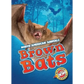 Brown Bats