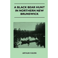 A Black Bear Hunt In Northern New Brunswick