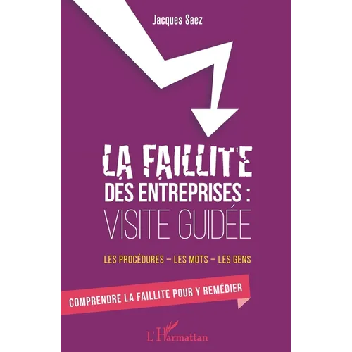 La faillite des entreprises: Visite guidée: Les procédures - les mots - les gens Comprendre la faillite pour y remédier